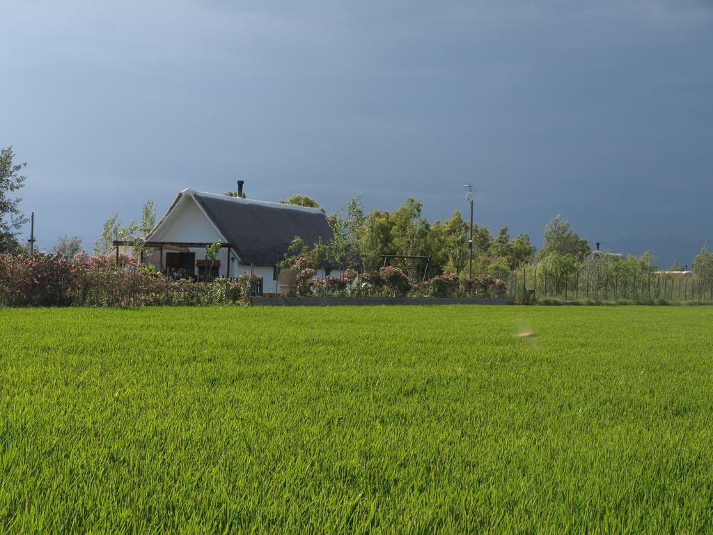 Barraca Gran Holiday home
