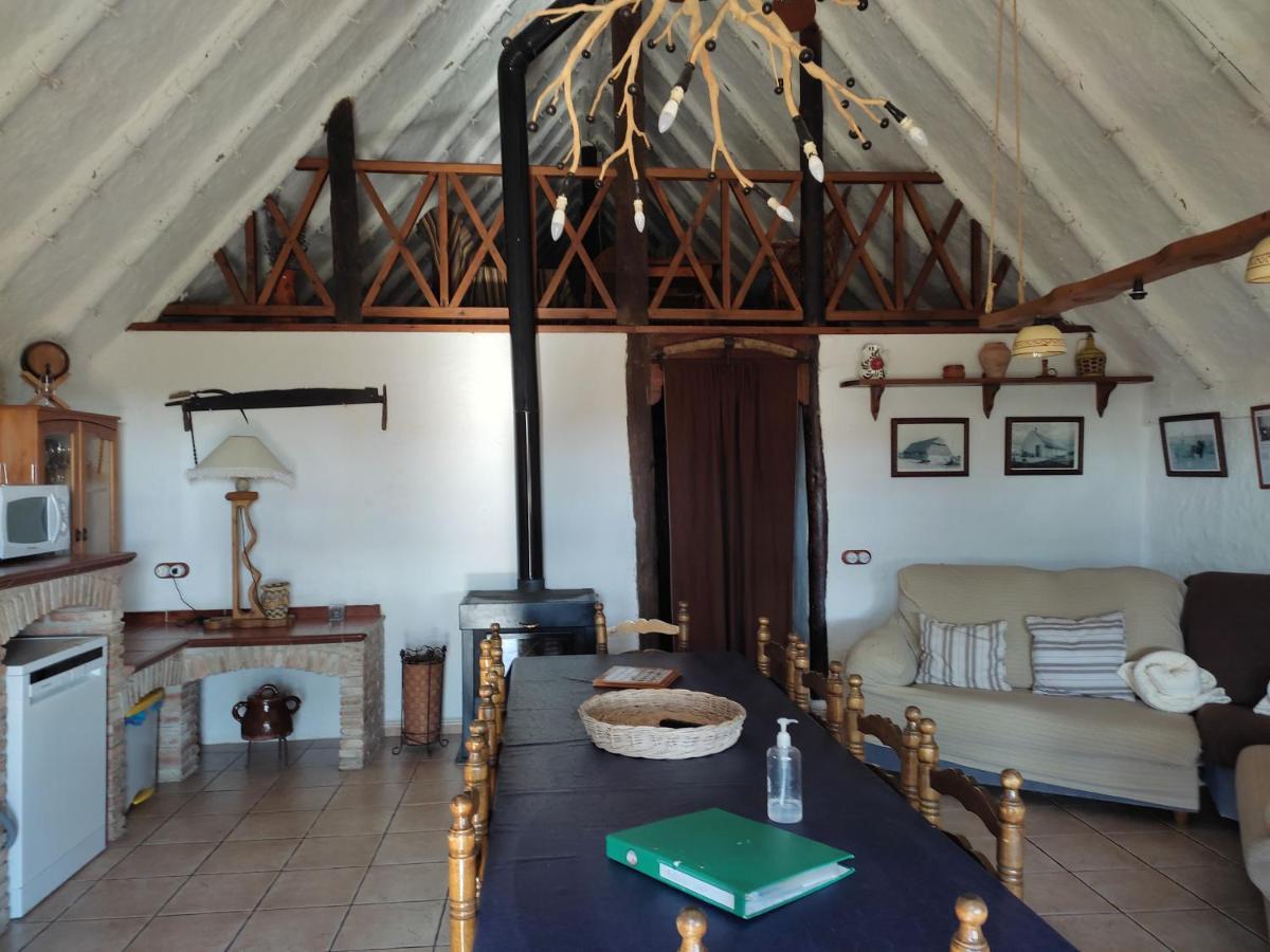 Barraca Gran Hébergement de vacances Deltebre